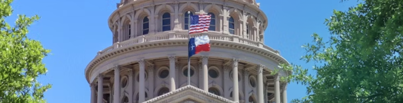 Texas IMRA