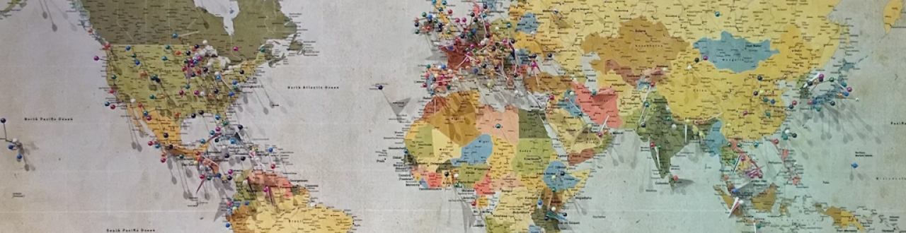 Global image with pins