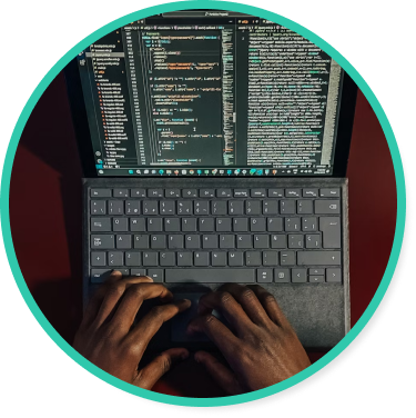 Metadata Development