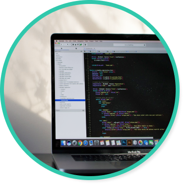Metadata Development